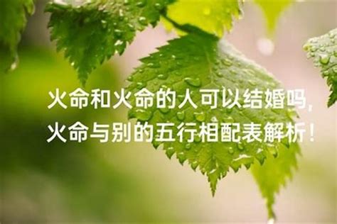 男火女土|男土命和女火命在一起好吗 土命配什么命最好